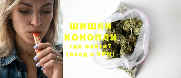 шишки Тайга