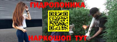 стафф Берёзовский