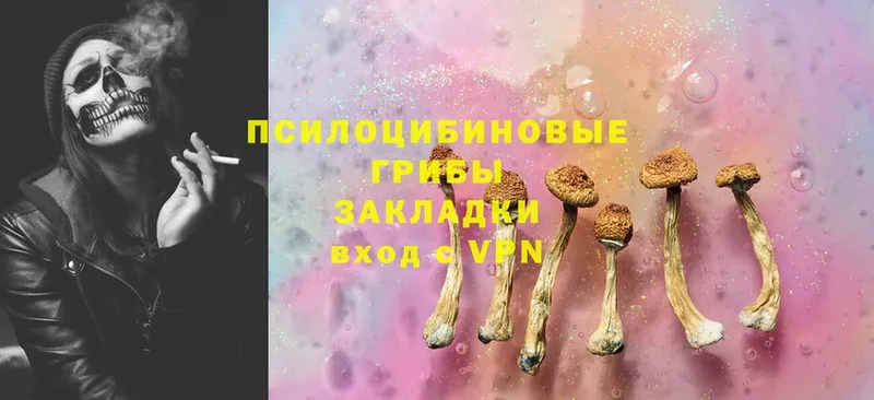 Псилоцибиновые грибы MAGIC MUSHROOMS  магазин продажи наркотиков  blacksprut ТОР  Верхняя Пышма 