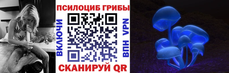 Галлюциногенные грибы Psilocybine cubensis  Верхняя Пышма 