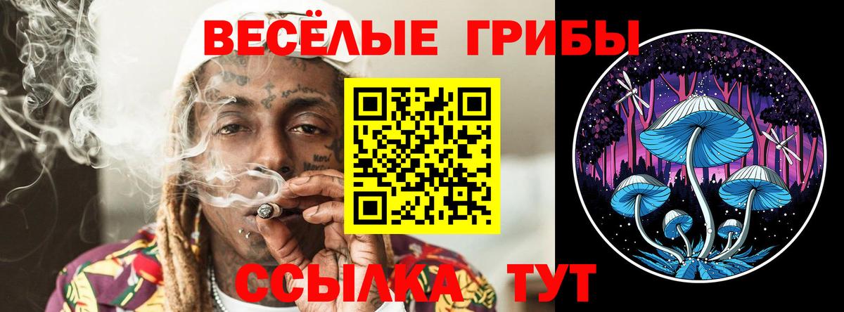 Псилоцибиновые грибы мухоморы Верхняя Пышма