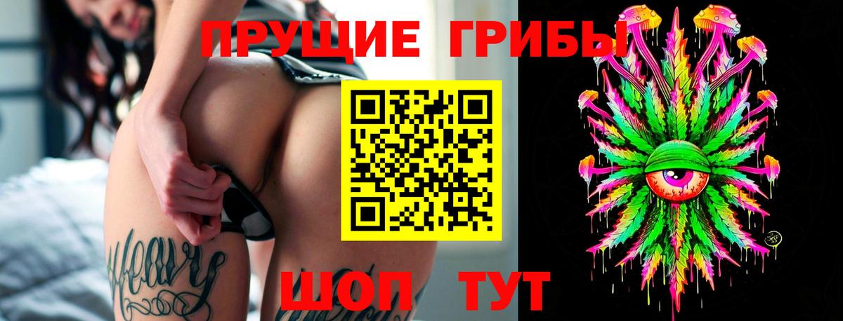 Галлюциногенные грибы мухоморы Верхняя Пышма